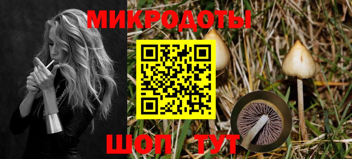 Галлюциногенные грибы Magic Shrooms Пушкино