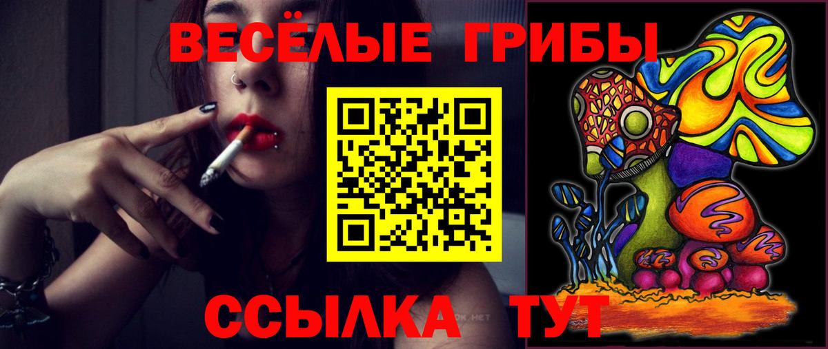 Пушкино  Псилоцибиновые грибы GOLDEN TEACHER  Вход с VPN 